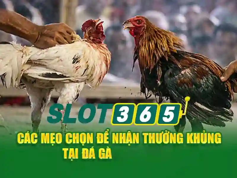 slot365 xxvip – Giá trị cốt lõi và trải nghiệm đỉnh cao