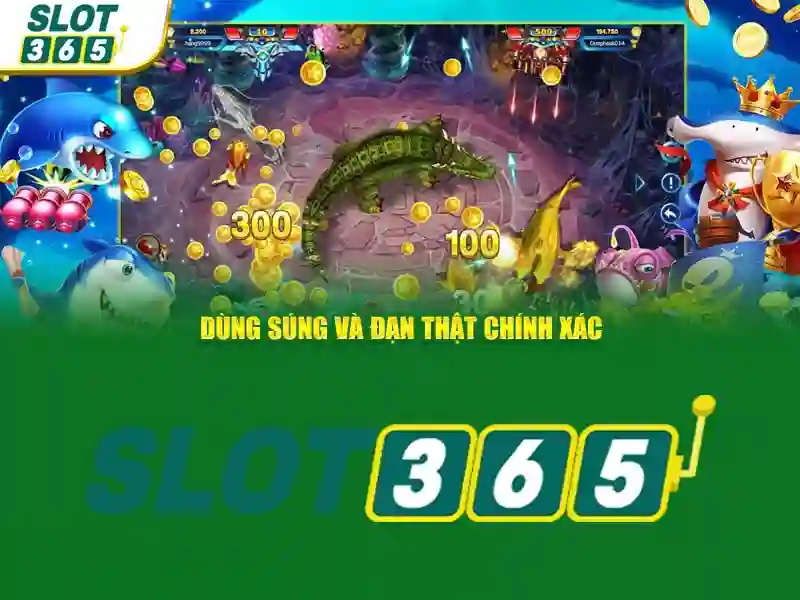 Giao diện người dùng và trải nghiệm