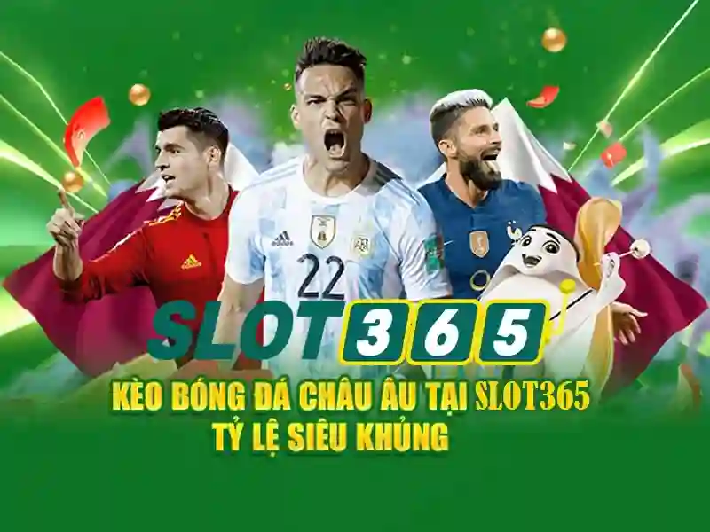 Dịch vụ khách hàng và hỗ trợ
