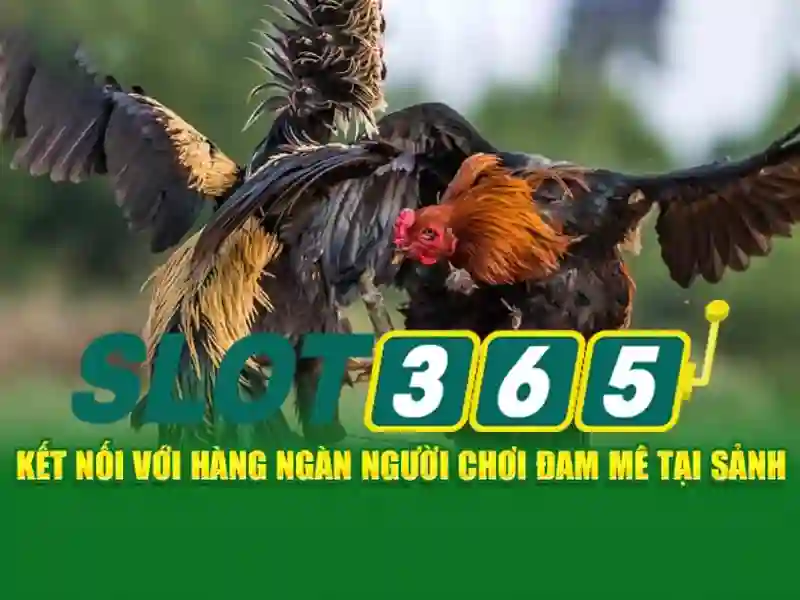 'Nguồn gốc và sứ mệnh Slot365 an toàn không'