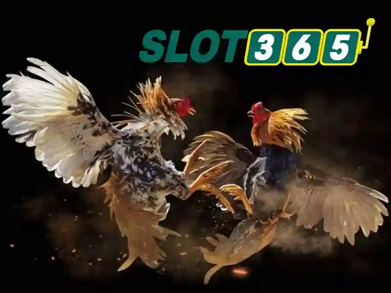 Slot365: Trải nghiệm trò chơi xèng hàng đầu