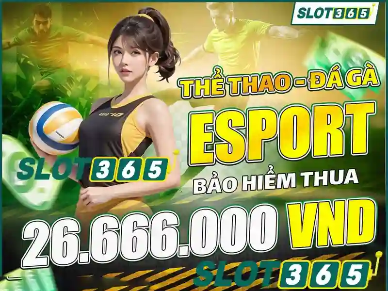 Slot365 chính thức – phần giới thiệu