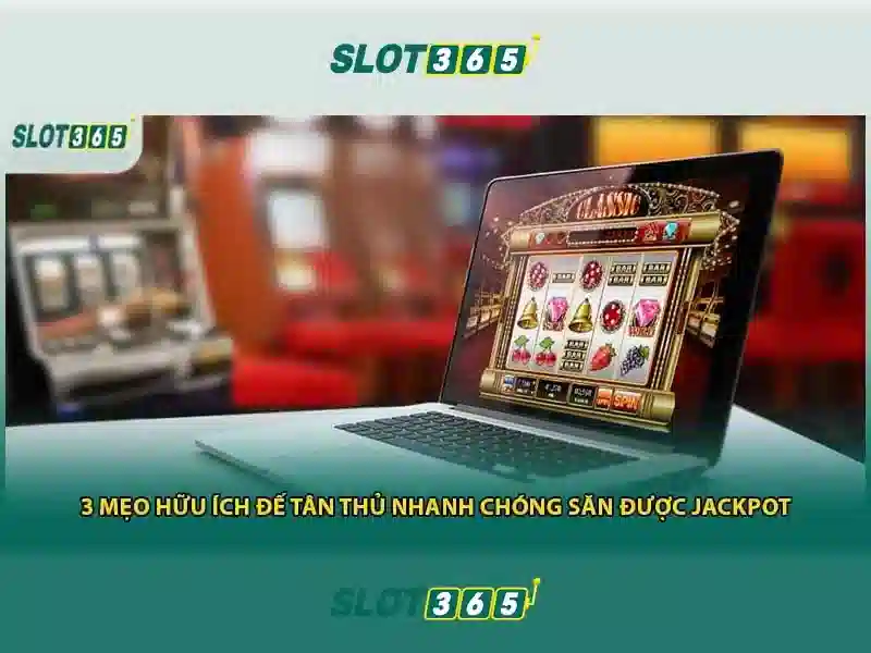 Trải nghiệm người chơi tại Slot365