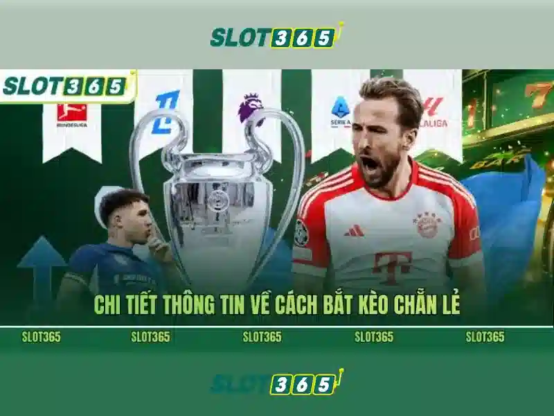 Tổng quan về slot365 link alternatif