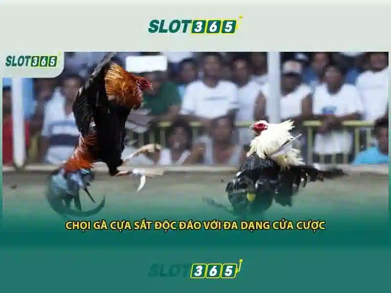 Slot365 nổ hũ – hành trình trải nghiệm đỉnh cao và đánh giá chi tiết