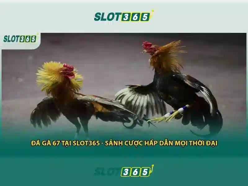 Slot365: Trải nghiệm trò chơi slot trực tuyến an toàn và thú vị