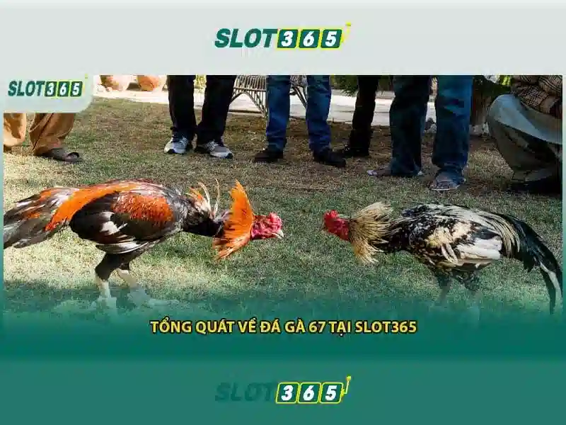 Slot365: Nền tảng slot trực tuyến an toàn và giải trí