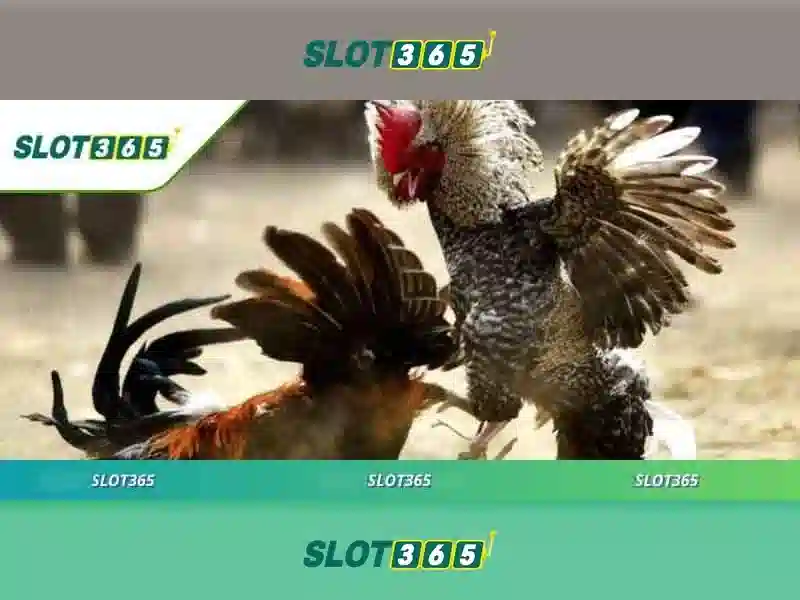 Slot365 – Nền tảng trò chơi xèng trực tuyến hàng đầu