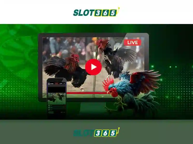 Slot365 - Cổng trò chơi slot trực tuyến đáng tin cậy
