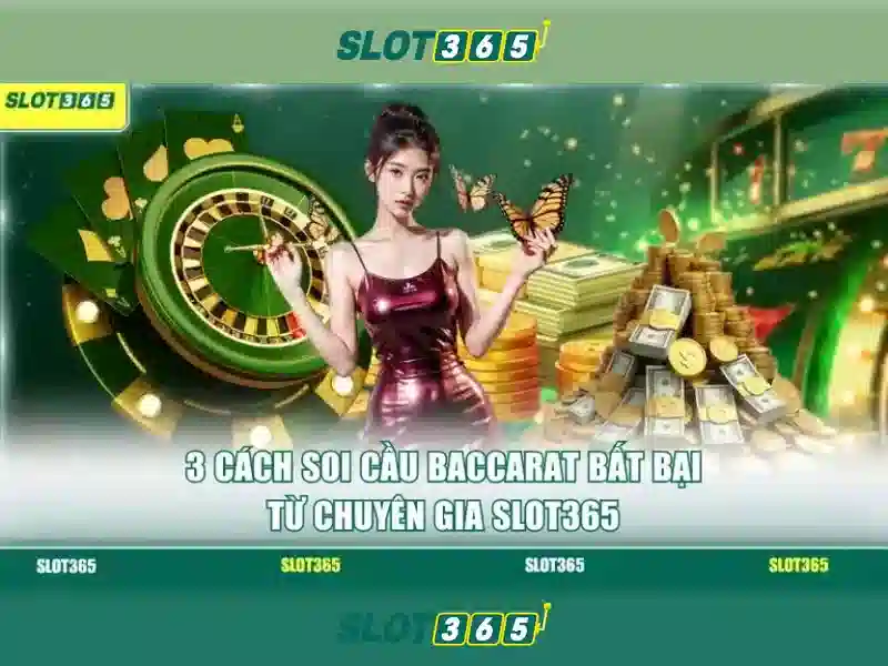 Slot365: Tong quan ve nen tang ca cuoc truc tuyen