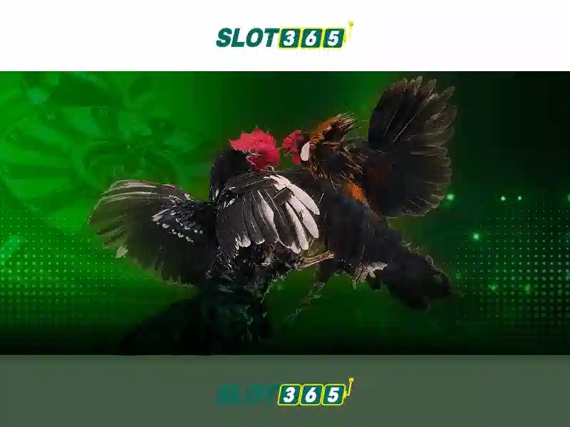 Slot365 là gì và tại sao nhiều người chọn nó