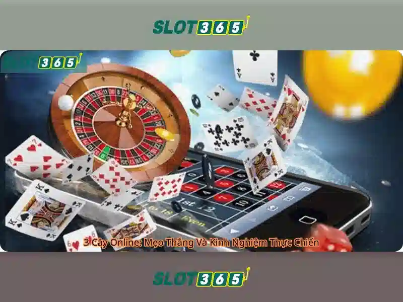 Kết luận về Slot365 cho người chơi Việt Nam