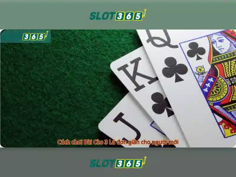 Slot365: Trải nghiệm casino slots trực tuyến đáng tin cậy