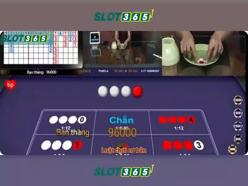 Slot365: Trải nghiệm slot trực tuyến tuyệt vời