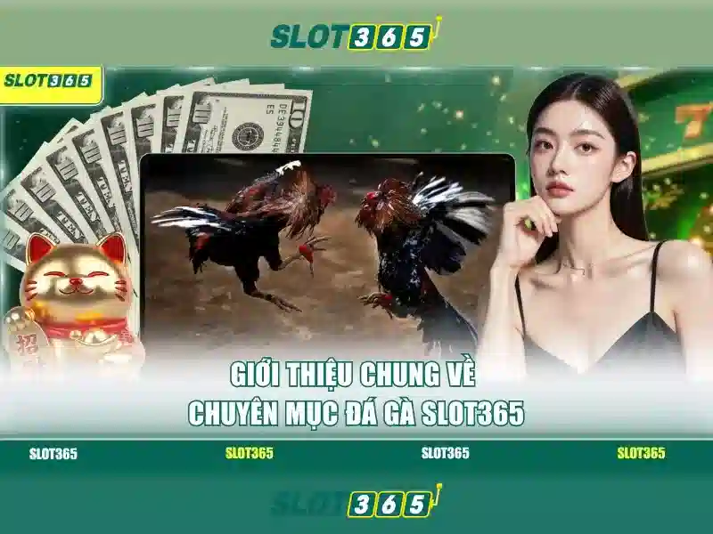 slot365. com – Tóm tắt chủ đề và giá trị cốt lõi