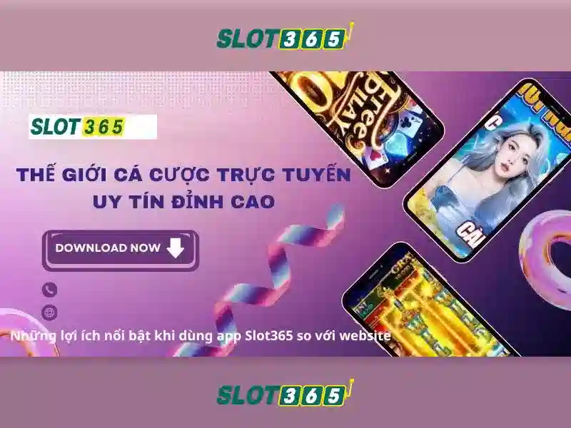 Hỗ trợ khách hàng và kết luận