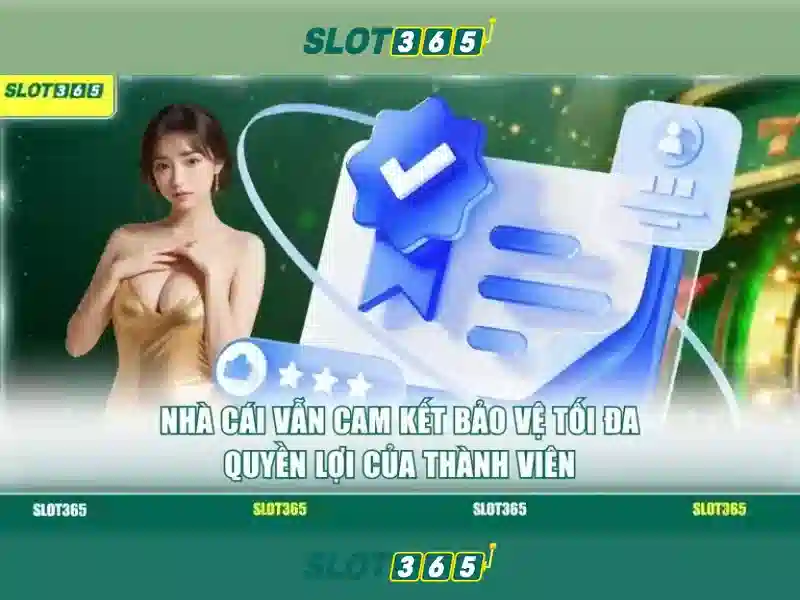 Slot365: Đánh giá tổng quan về nền tảng xổ số trực tuyến