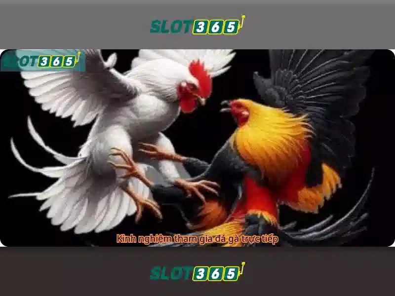 Slot365: Đánh giá và khám phá trò chơi slot trực tuyến