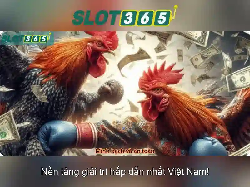 Slot365: Trải nghiệm chơi slot đỉnh cao