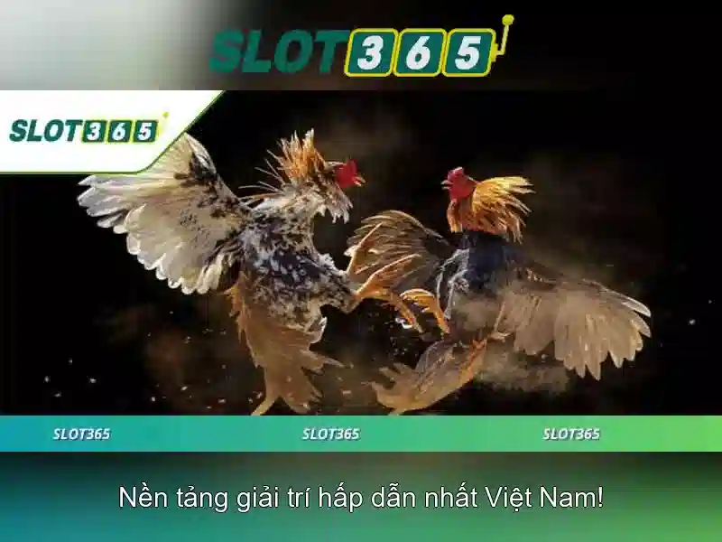 Slot365: Trải nghiệm máy xè quay trực tuyến hàng đầu
