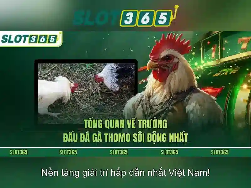 Slot365: Đánh giá và trải nghiệm nền tảng trò chơi trực tuyến