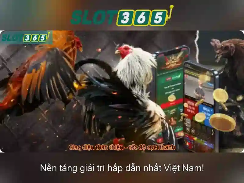 Trải nghiệm người dùng