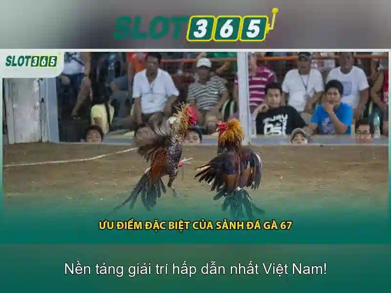 An toàn và thanh toán