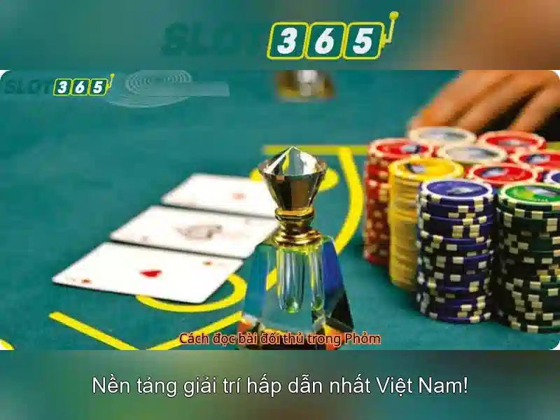Giao diện người dùng và trải nghiệm