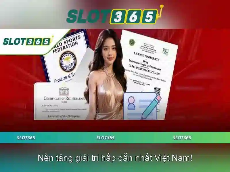 Giao diện và trải nghiệm người dùng