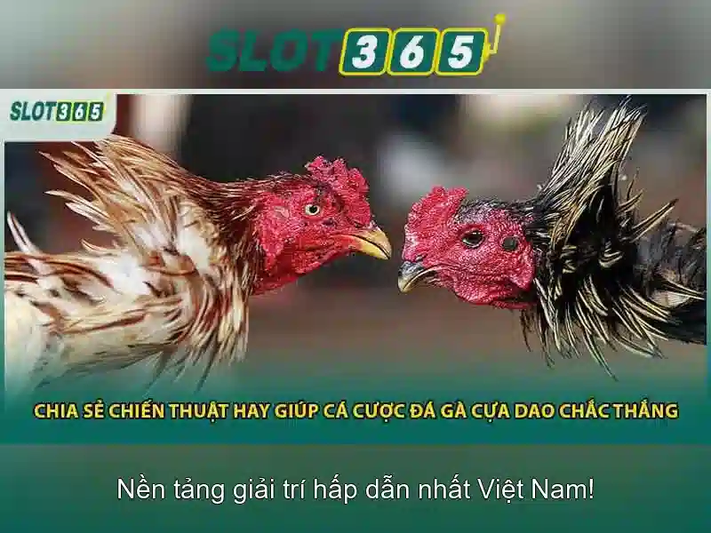 Trải nghiệm trò chơi trên Slot365