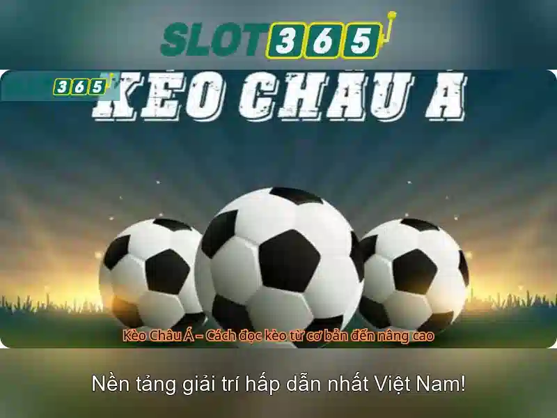 Tại sao chọn Slot365