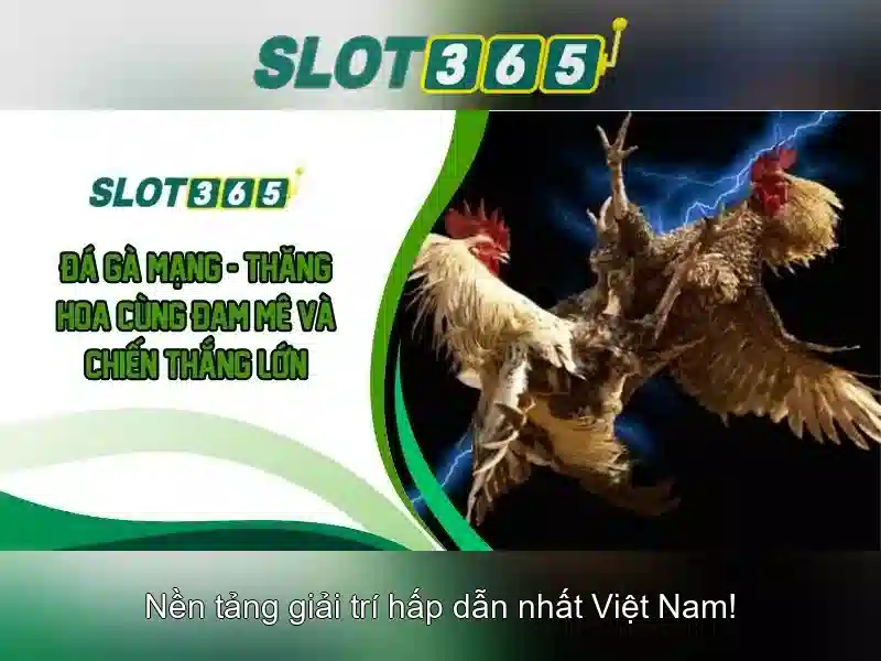 Slot365: Nền tảng đánh bạc trực tuyến hàng đầu
