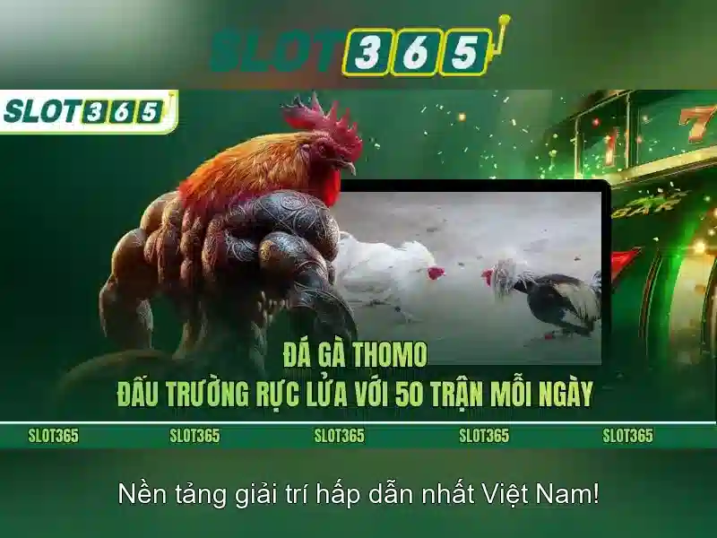 Khuyến mãi và chương trình thưởng