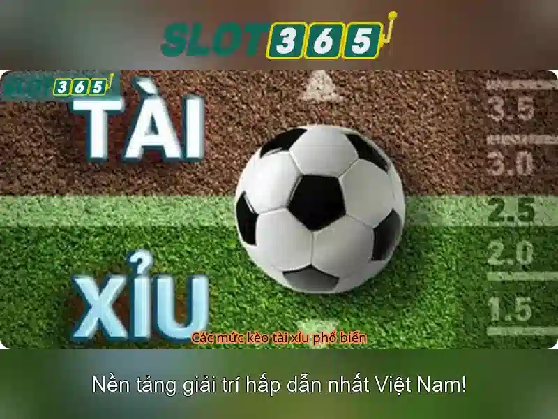 Giao diện và trải nghiệm người dùng