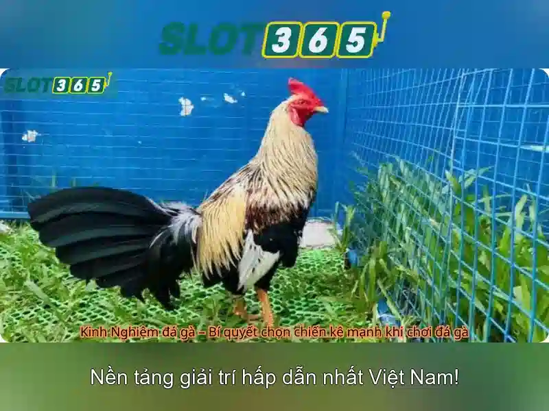 Các trò chơi nổi bật