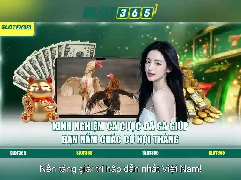 Slot365 – Nền tảng trò chơi xèng trực tuyến hàng đầu