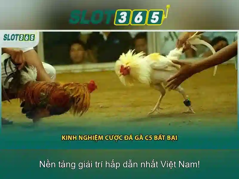 An toàn và cấp phép
