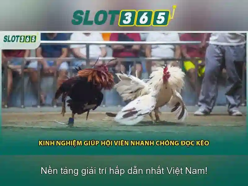 Slot365: Tổng quan và trải nghiệm chơi