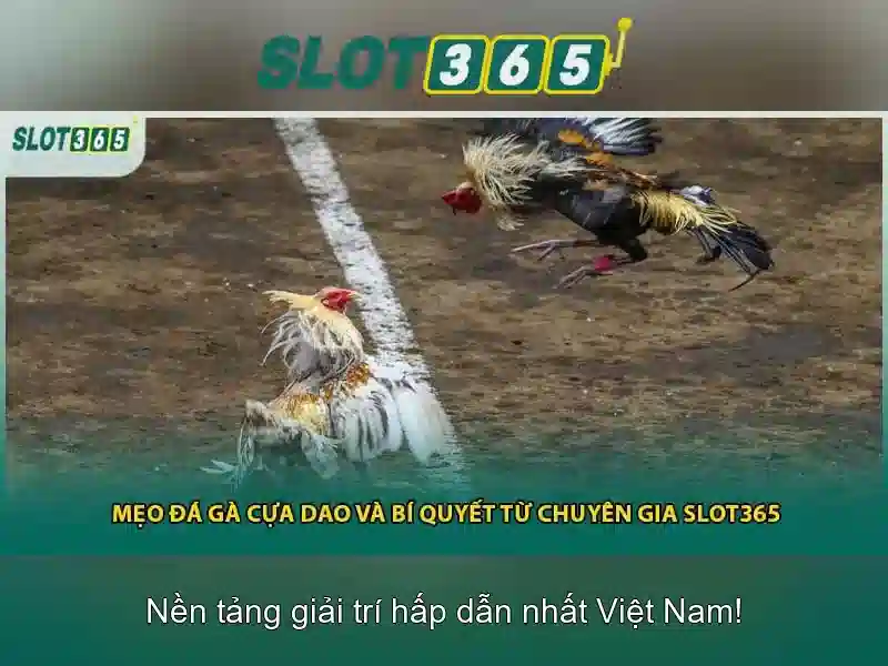 game bài Slot365 – Trải nghiệm đỉnh cao tại casino Slot365