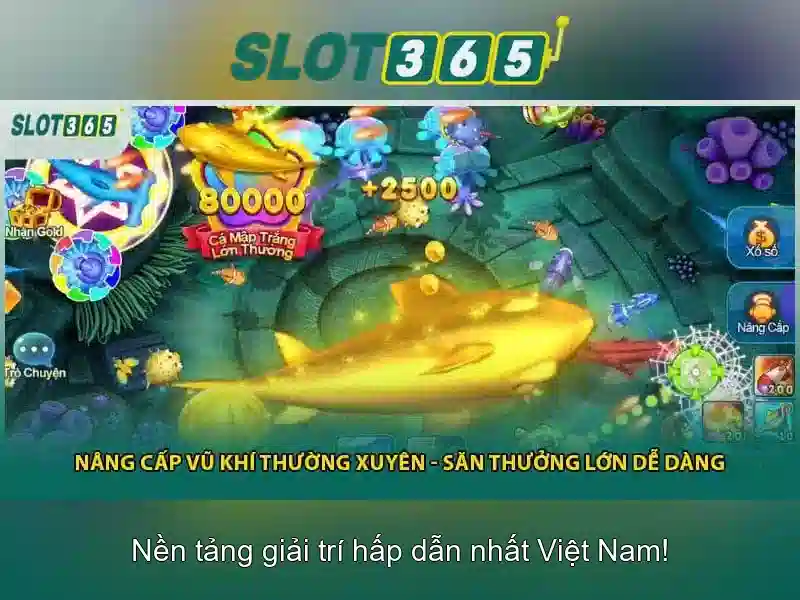 Slot365: Nền tảng cá cược trực tuyến an toàn và phong phú