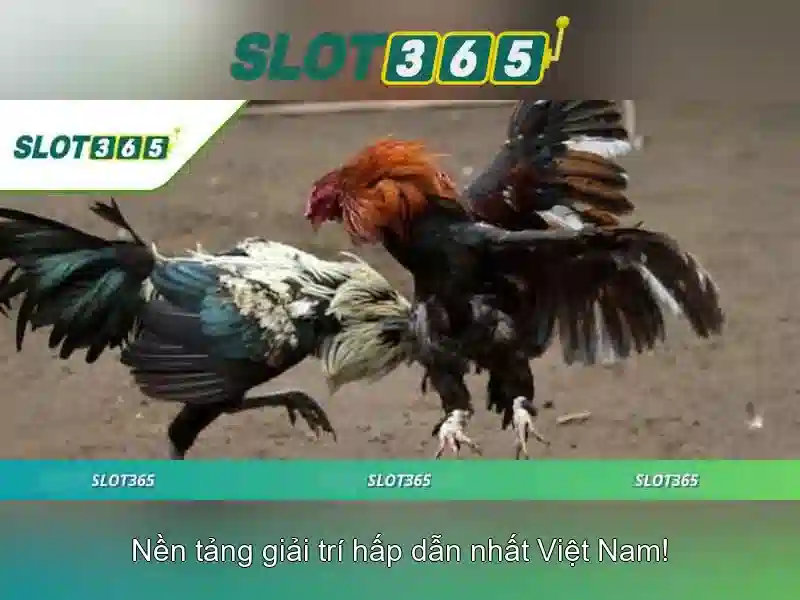 Khuyen mai va thuong