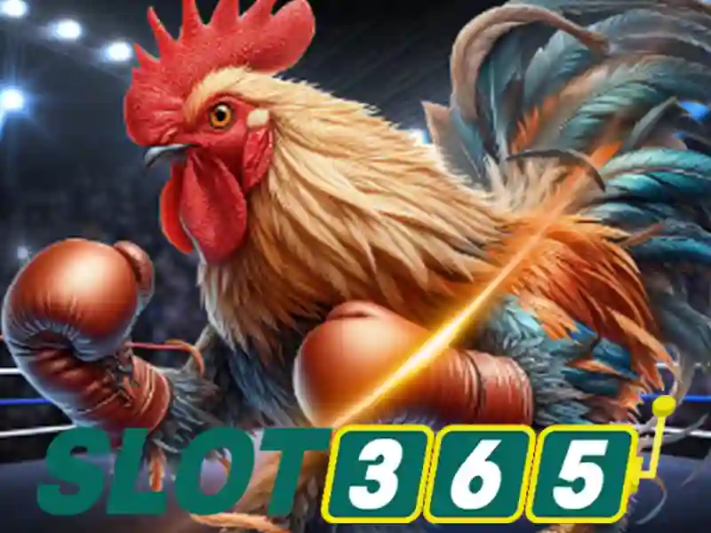 Slot365: Đánh giá và trải nghiệm casino slot trực tuyến