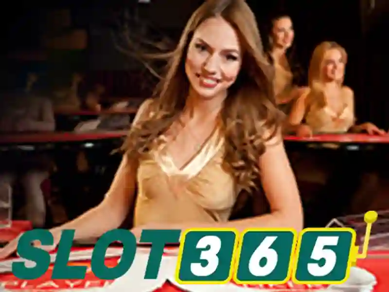 Slot365 là gì và tại sao nhiều người chọn?